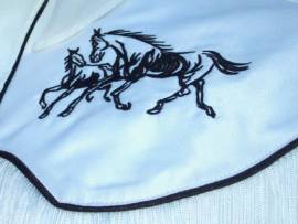 Westernhemd, Shirt, Cowboy, Rodeo, Trucker, Western / 08 - Bild vergrern 